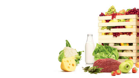 16_BUCAT-E-KATALOG-ARKA-PLAN-PRF